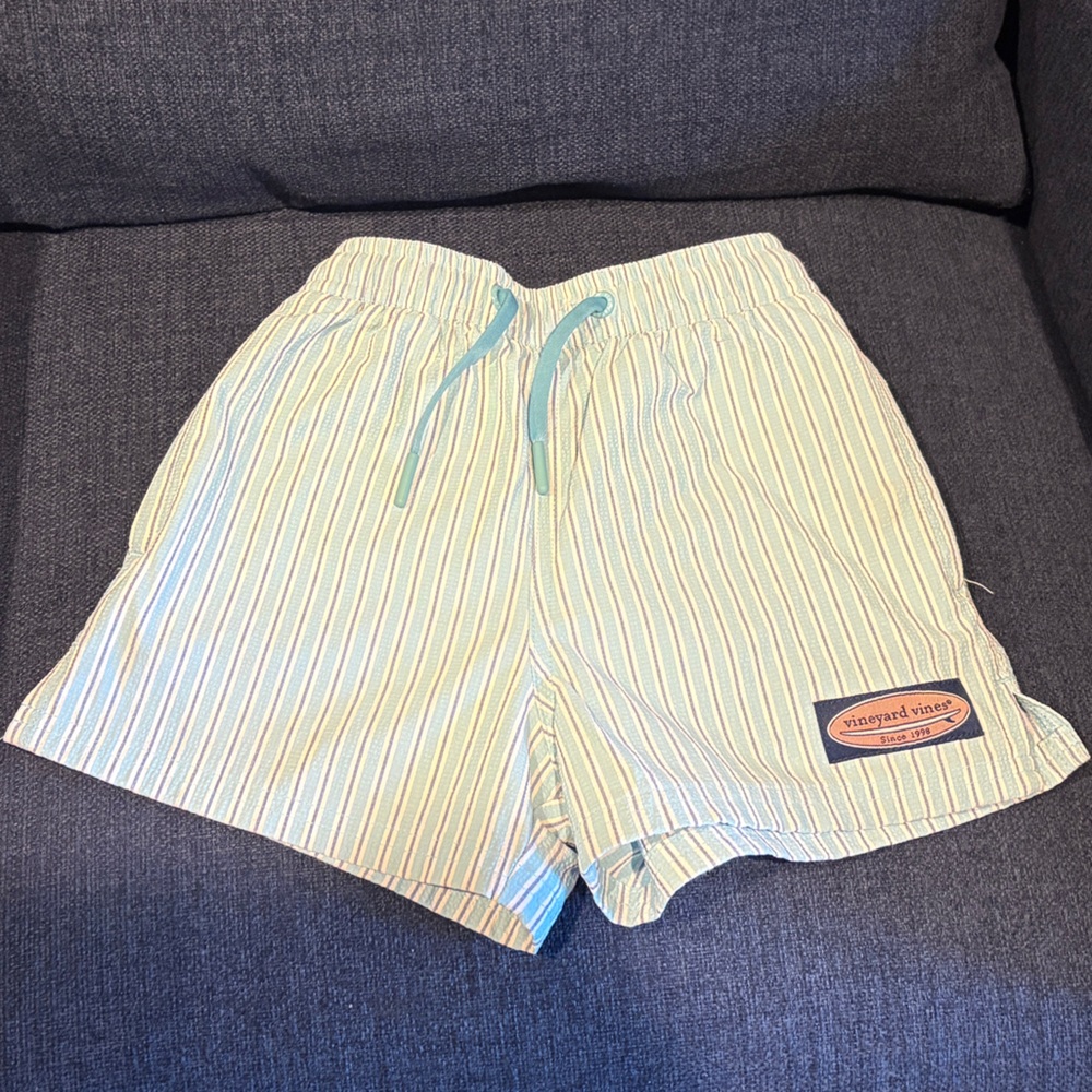 Vineyard Vines Blue and White Striped Shorts toddler